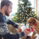 Weihnachtsgrüße für Hundefreunde
