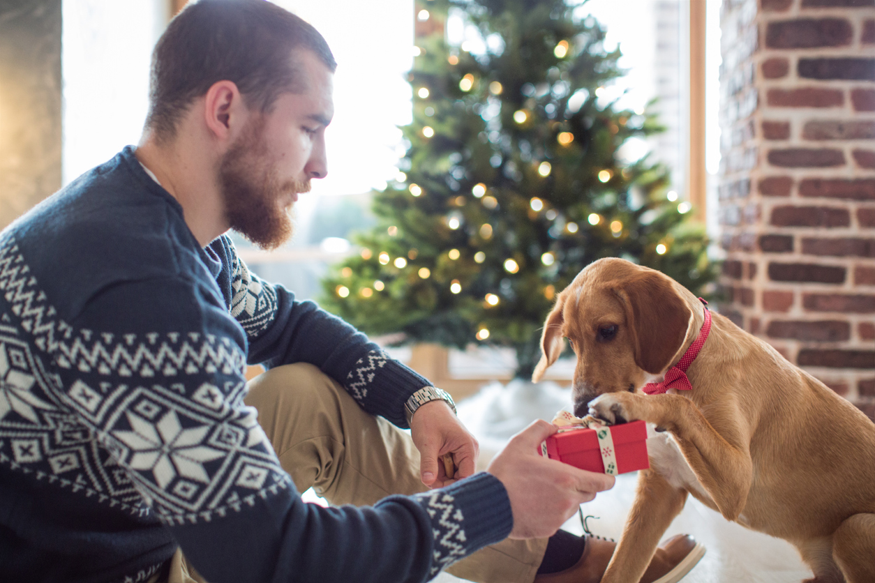 Weihnachtsgrüße für Hundefreunde